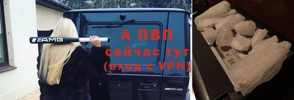 СК Осташков