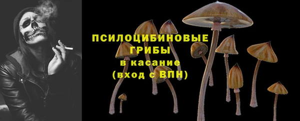 a pvp Осинники