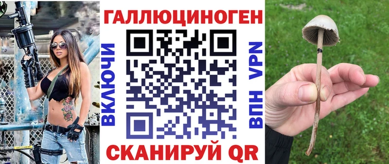купить закладку  Кондопога  Галлюциногенные грибы GOLDEN TEACHER 