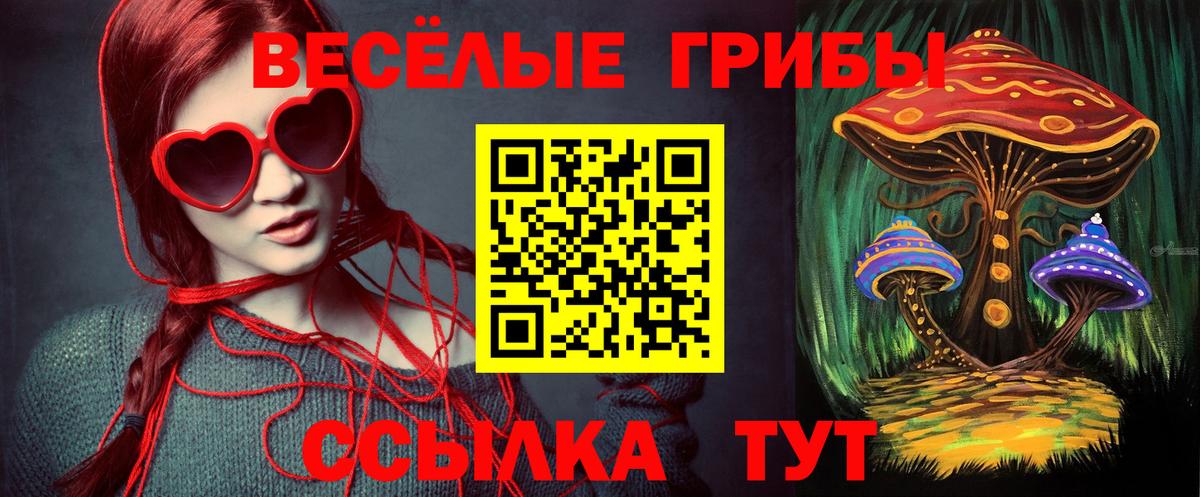 Кондопога  Псилоцибиновые грибы MAGIC MUSHROOMS  Вход с VPN 