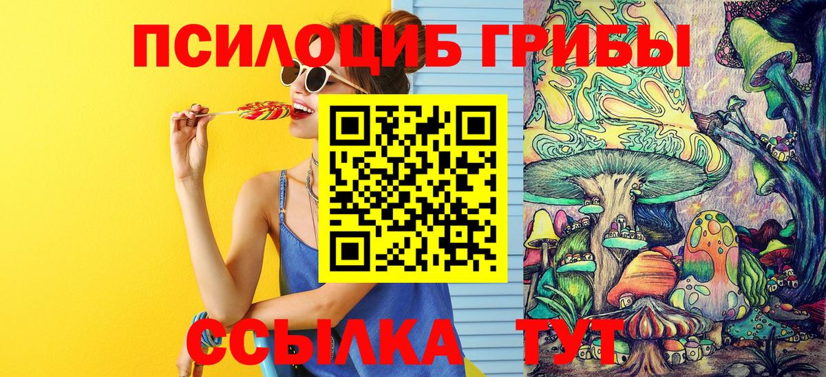 Галлюциногенные грибы мицелий Кондопога